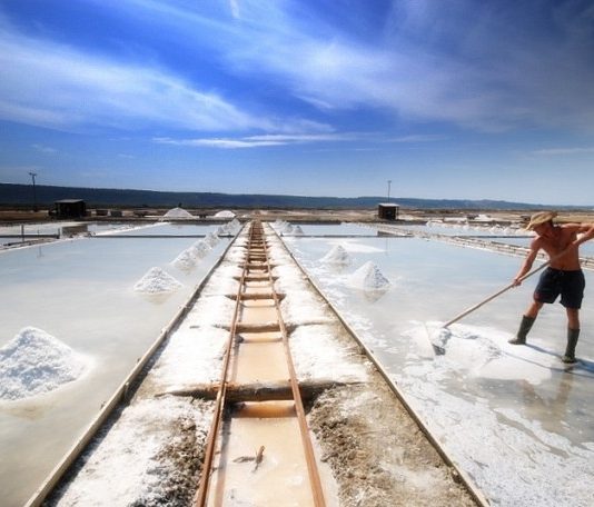 Salt minner for a day