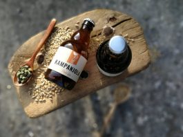 kampanjola_beer_2