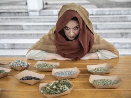 roche_martin_krpan_ljubljana